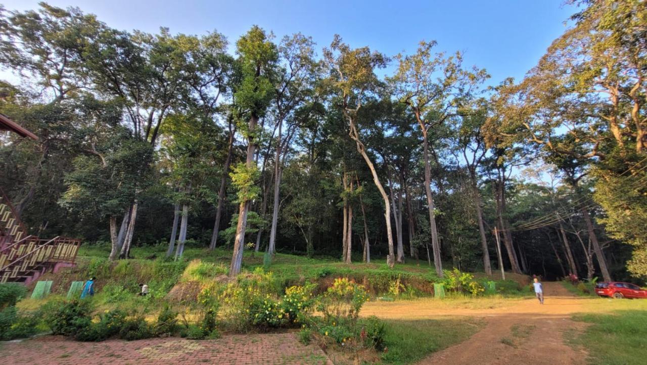 Magod Homestay Idgundi Dış mekan fotoğraf